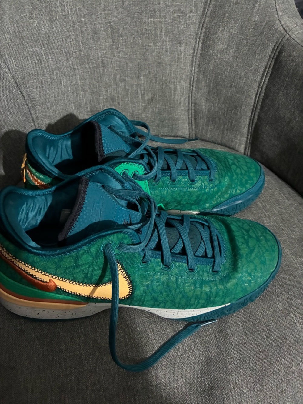 Lebron Nike men’s 12.5 US Zoom NXXT geode teal
